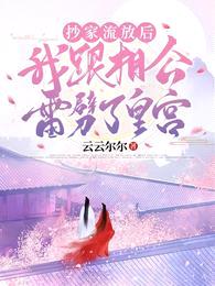 抄家流放后,我跟相公雷劈了皇宫